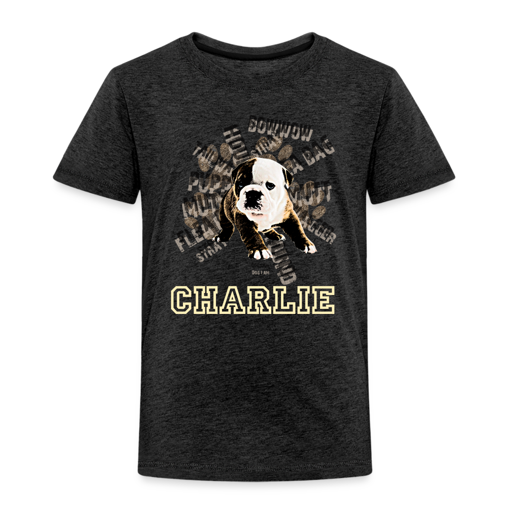 Toddler Premium T-Shirt charcoal grey