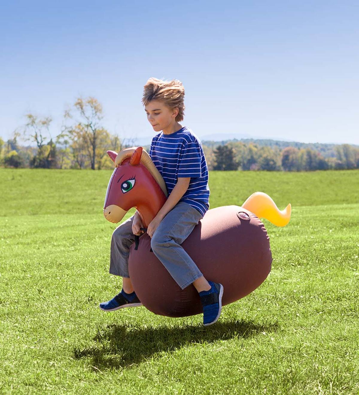 Inflatable Jump Along Horse Set of 2